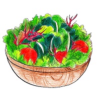 木のボウルに入った美味しそうな野菜サラダ